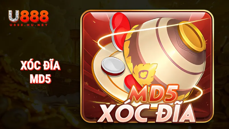 Xóc đĩa MD5